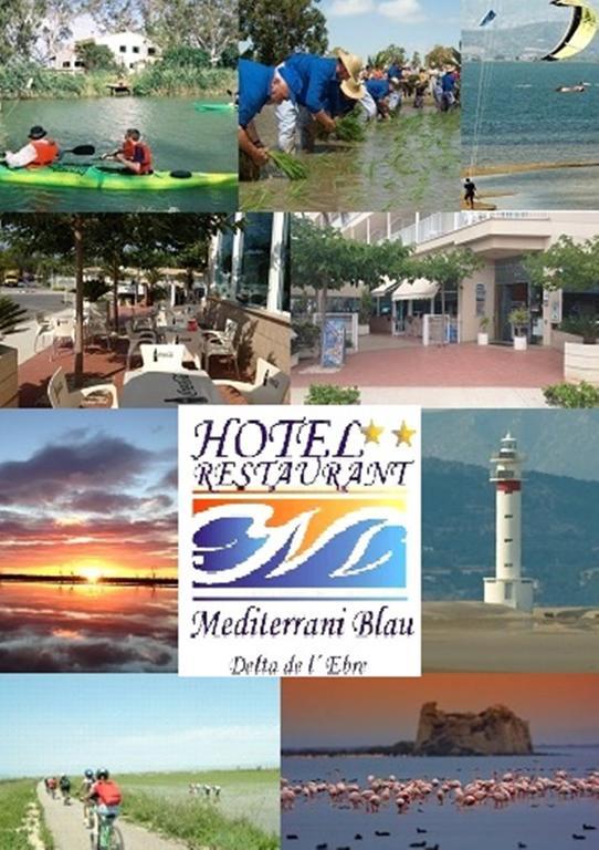 Mediterrani Blau L'Eucaliptus